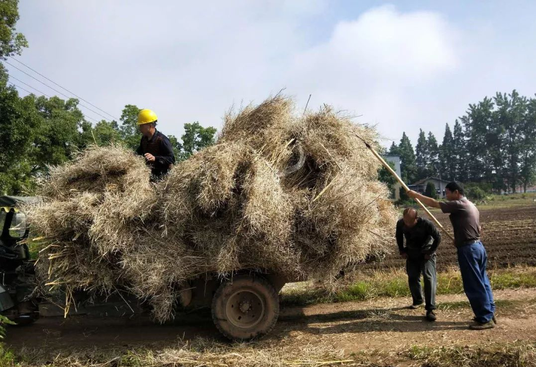 “堵疏”并举，，，，，，抓实露天秸秆禁烧监控