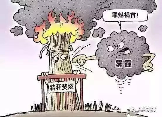 bet8·(股份)有限公司官网