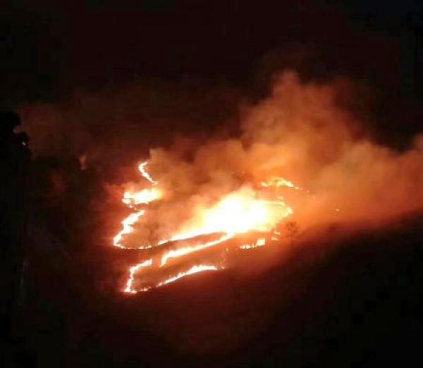 四川甘孜藏族自治州境内爆发较大面积森林火灾，，消防扑救