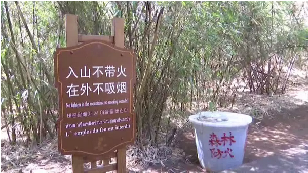 赞！鸡足山景区一连35年无森林火灾，，，，由于他们...